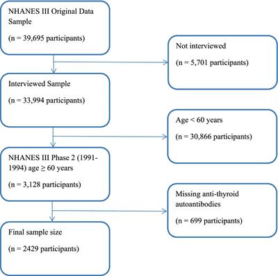Autoimmune thyroid disease modifies the clinical expression of hand osteoarthritis in older people: a third National Health and nutrition examination survey study